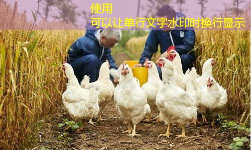 家禽养殖业务创新模式探讨与案例分享